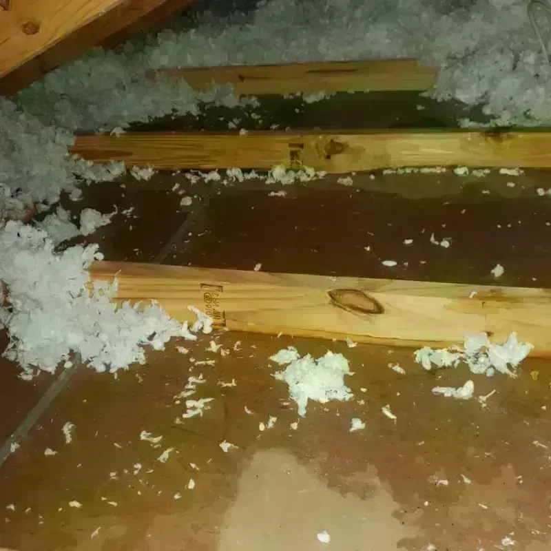 Attic Water Damage in Treasure County, MT