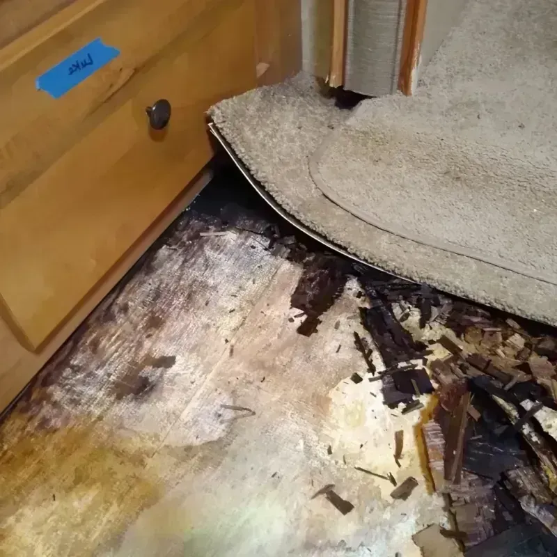 Wood Floor Water Damage in Treasure County, MT